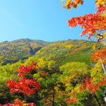 【試聴】紅葉の季節に吟じたい詩吟「山行」